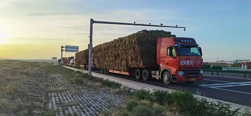 錫林郭勒盟交通運(yùn)輸局多舉措保障物流運(yùn)輸暢通